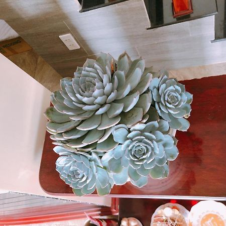 Mai Anh Dao Hotel Đà Lạt Ngoại thất bức ảnh