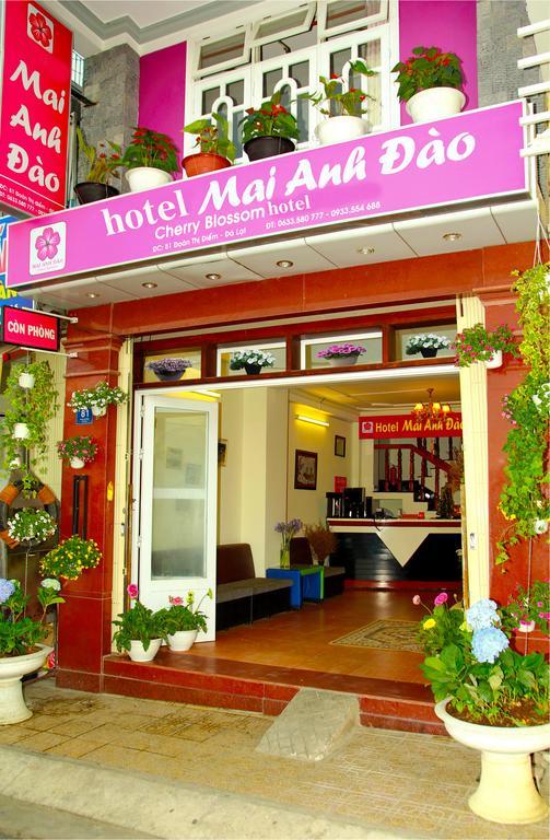 Mai Anh Dao Hotel Đà Lạt Ngoại thất bức ảnh