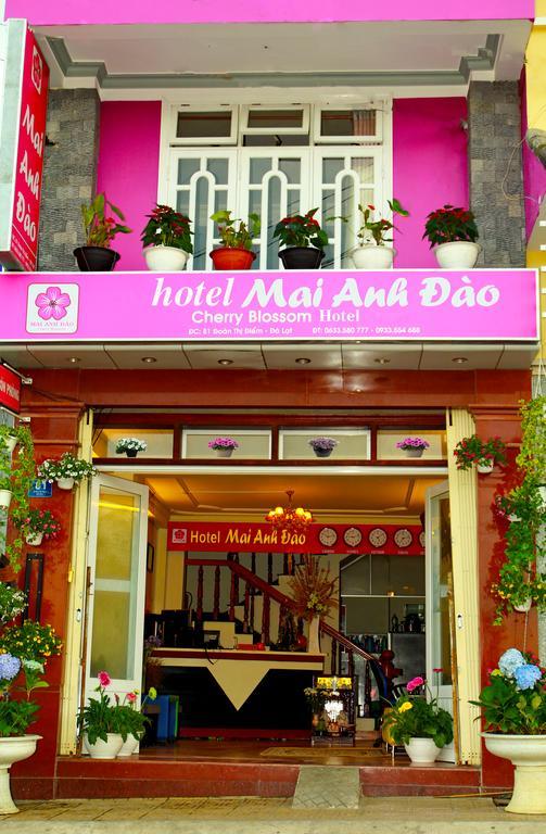 Mai Anh Dao Hotel Đà Lạt Phòng bức ảnh